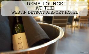 Dema Lounge is a great restaurant at Detroit Airport