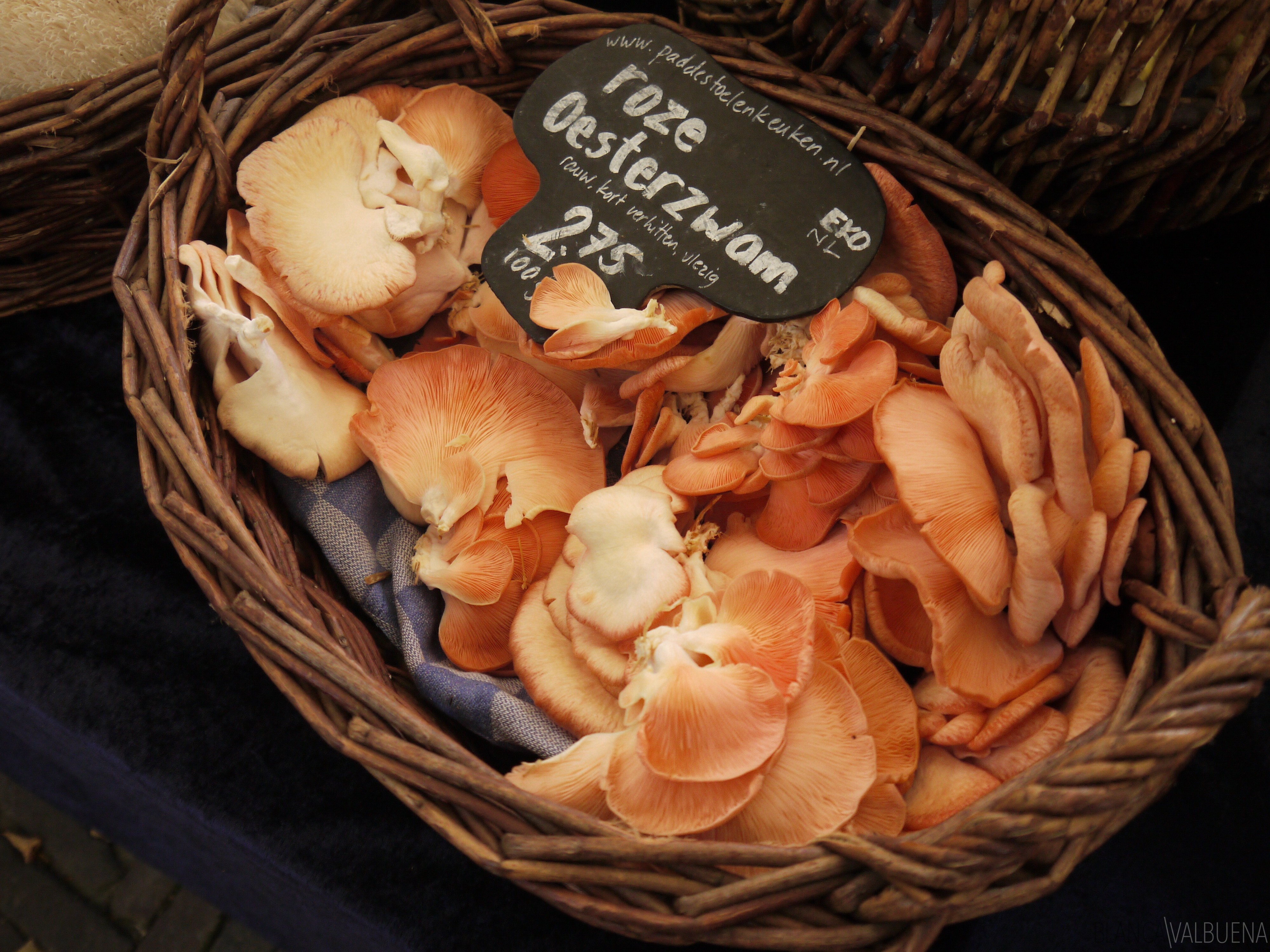 You can buy Mushrooms in Amsterdam at the Noordermarkt Farmers Market