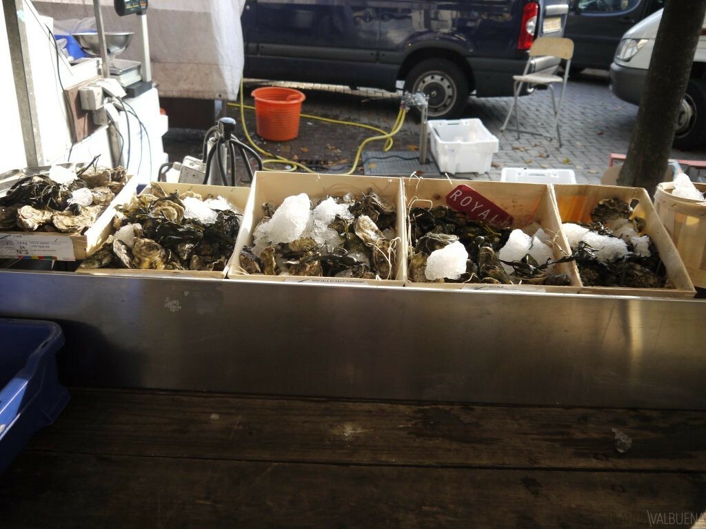 You can get fresh oysters in Amserdam at Noordermarkt on Saturdays