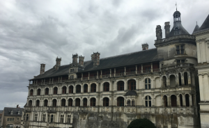 A beautiful place to see the city of Blois is the Francis I Wing