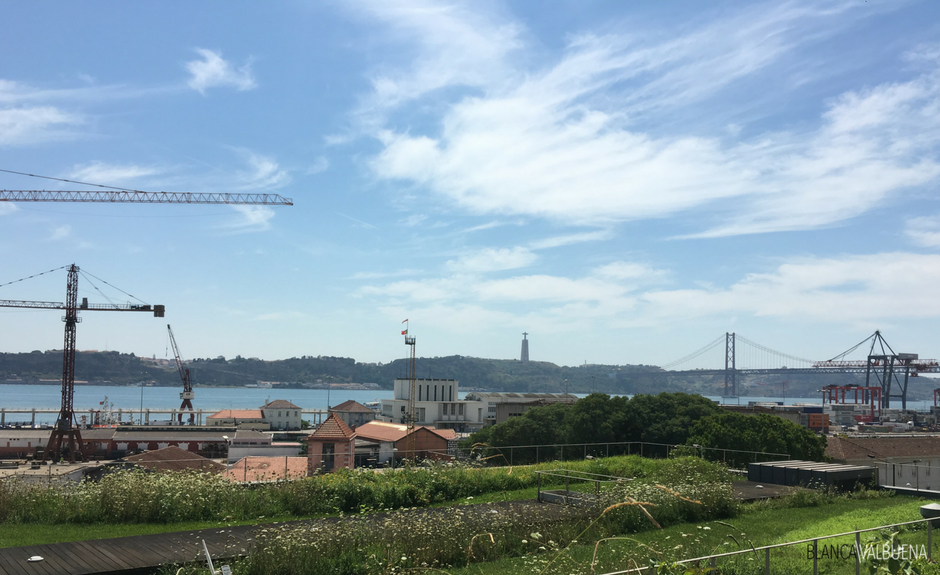 You can get a cheap meal with a great view at the Museu de Arte Antiga