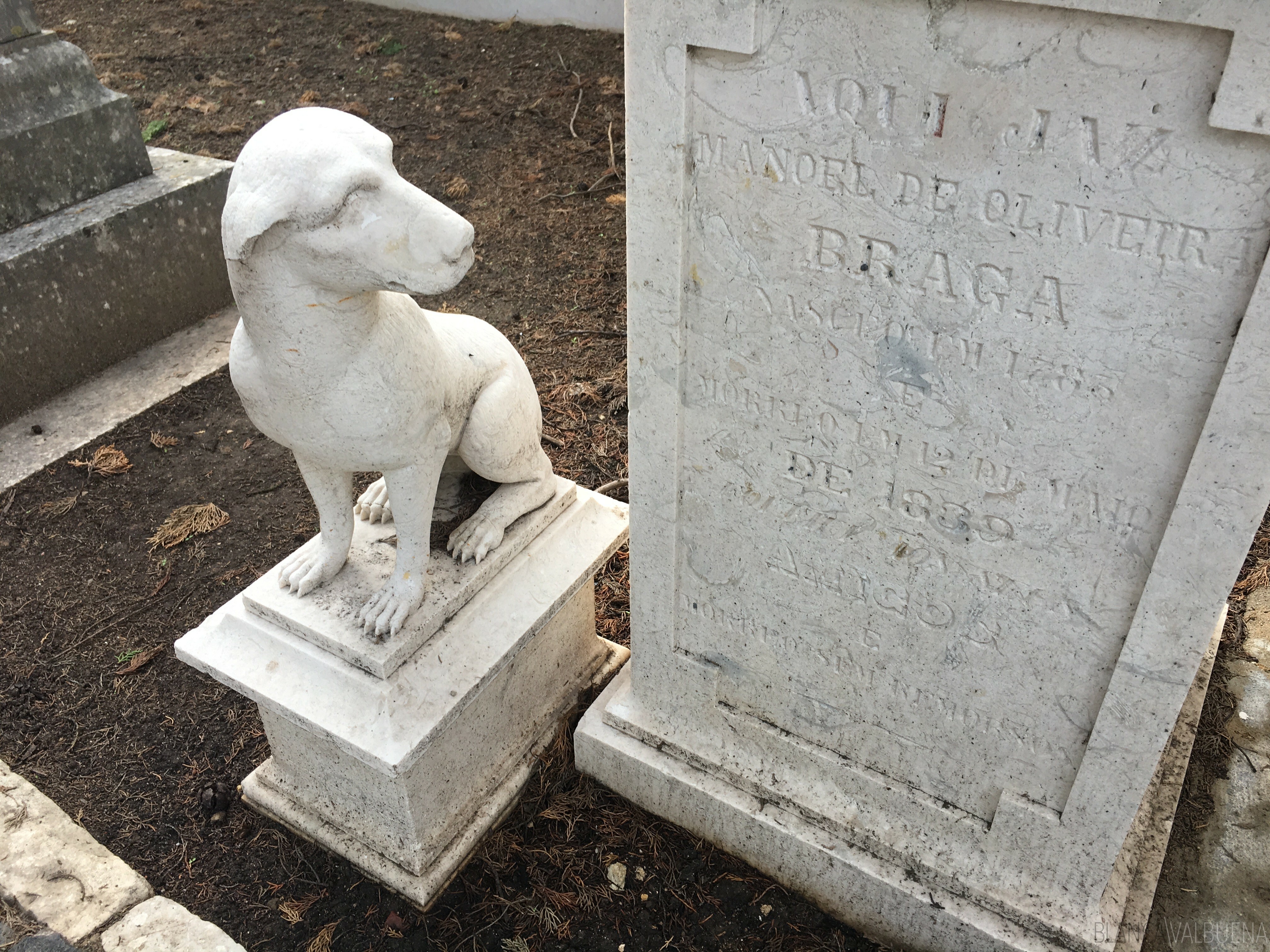 Gravestone with a dog