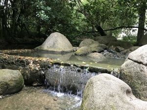 Gulbenkian jardim Lisbon