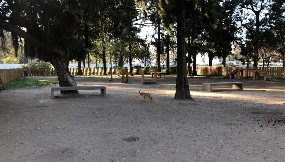 Campo Grande in Lisbon has a big and clean dog run
