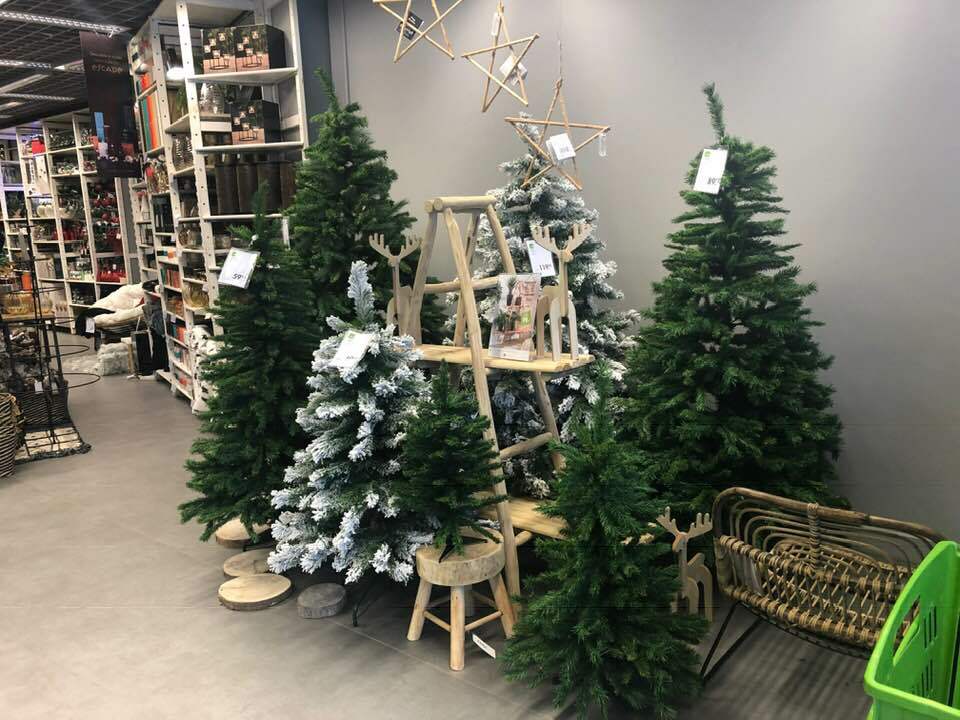 Buy Christmas Trees in Lisbon
