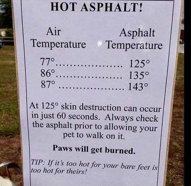 Dog Walking Temperature Chart