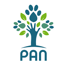 What is the PAN Political party in Portugal About