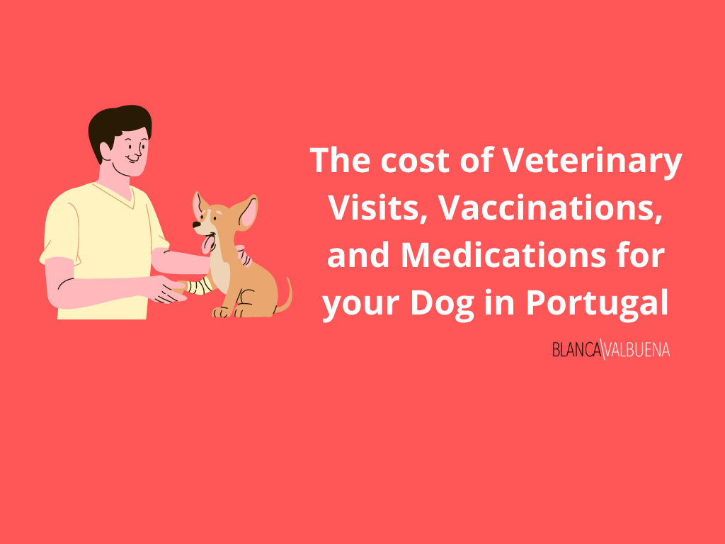 how much does a vet visit cost in Portugal