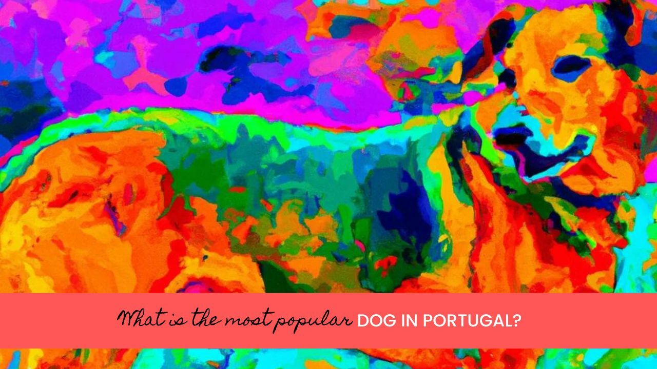 What is Portugal's national dog?