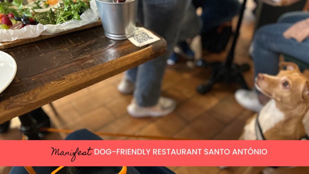 There are many dog-friendly restaurants in Lisbon, including Manifest in Santo Antonio
