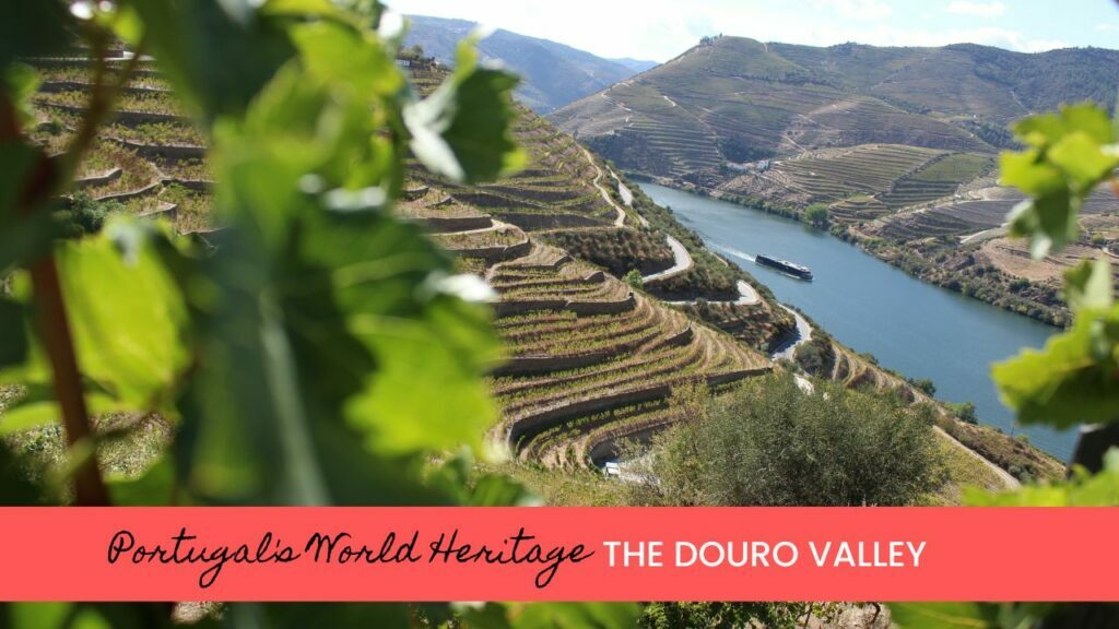 Portugal's Douro Valley has been named a UNESCO world heritage site