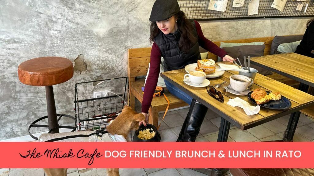 The Whisk Cafe is a Dog-Friendly restaurant in Lisbon