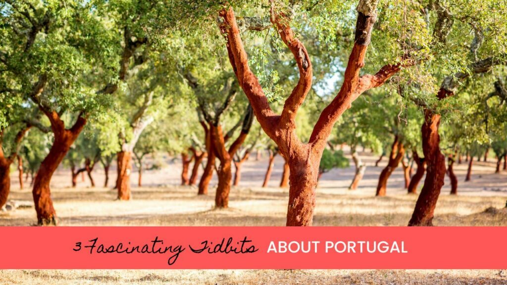 Fascinating Facts About Portugal
