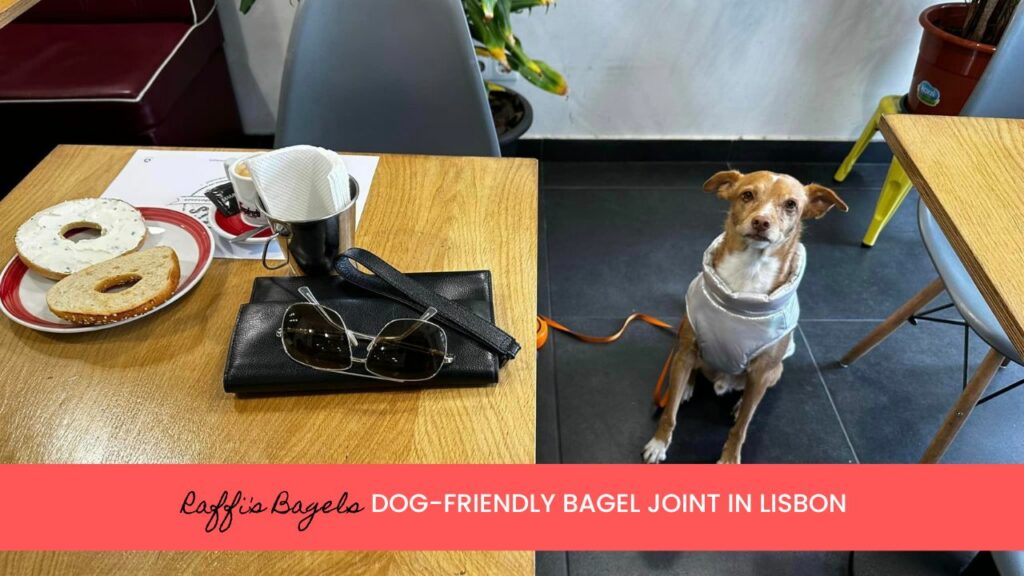 Dog-friendly cafe and bagel place in Arroios Lisboa